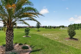 8971 SW 75th Lp, Ocala, FL 34481 - Photo 53