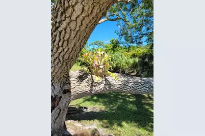 2950 SE Ocean Boulevard #134-5, Stuart, FL 34996 - Photo 49