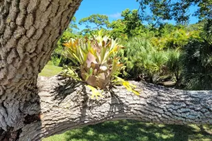 2950 SE Ocean Blvd, Stuart, FL 34996 - Photo 49