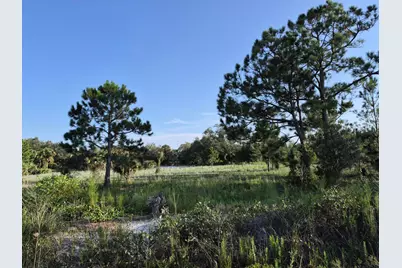 16810 NW 292nd Street, Okeechobee, FL 34972 - Photo 3