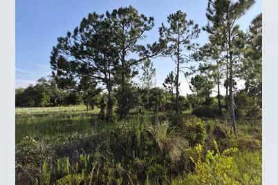 16810 NW 292nd Street, Okeechobee, FL 34972 - Photo 11