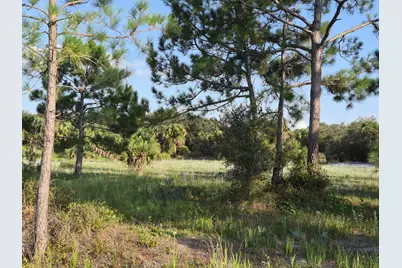 16810 NW 292nd Street, Okeechobee, FL 34972 - Photo 5