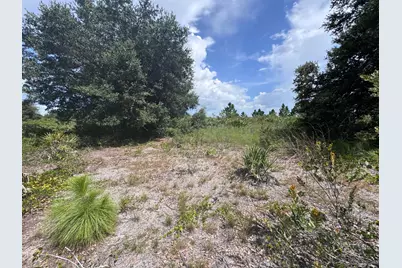 20589 NW 254th Street, Okeechobee, FL 34972 - Photo 9