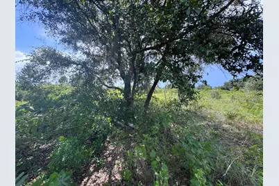 20589 NW 254th Street, Okeechobee, FL 34972 - Photo 7