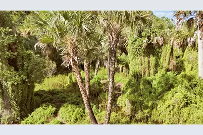 Tbd SW Cardamine Street, Indiantown, FL 34956 - Photo 5
