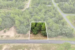 6599 N Airmont Dr, Dunnellon, FL 34433 - Photo 1