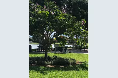 699 Saxony O Way #o, Delray Beach, FL 33446 - Photo 29