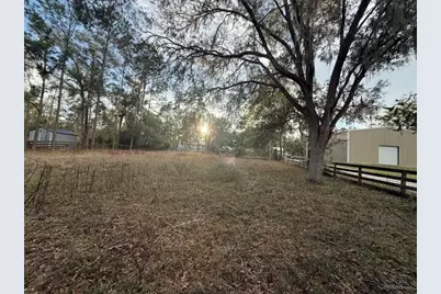 222 NE 838 Street, Old Town, FL 32680 - Photo 3