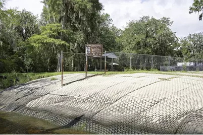 227 River View Drive, Old Town, FL 32680 - Photo 11