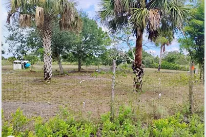 15313 NW 310th Street N, Okeechobee, FL 34972 - Photo 3