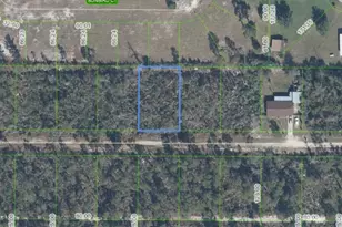 436 Nightingale Ave, Sebring, FL 33870 - Photo 1