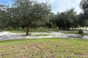 16848 NW 288th St, Okeechobee, FL 34972 - Photo 11