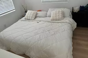 817 Tyler St, Hollywood, FL 33019 - Photo 3