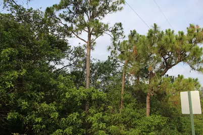 "17992" 94th Street N, Loxahatchee, FL 33470 - Photo 5