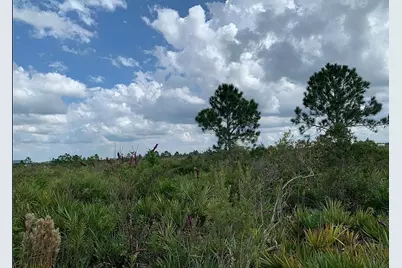 48341 Bermont Road, Punta Gorda, FL 33982 - Photo 5