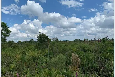 48341 Bermont Road, Punta Gorda, FL 33982 - Photo 3