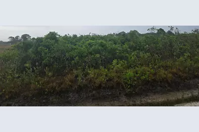 17439 NW 300th Street, Okeechobee, FL 34972 - Photo 7