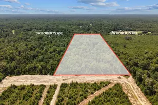 531 SW Roberts Ave, Fort White, FL 32038 - Photo 33