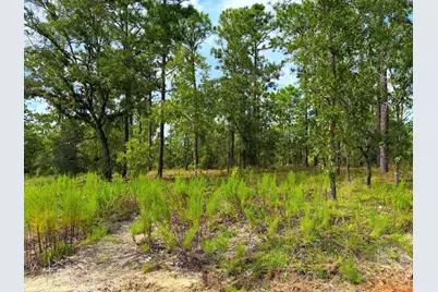 23701 NW Water Oak Avenue, Dunnellon, FL 34431 - Photo 9