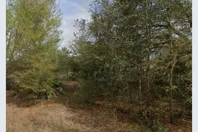 Tba Lenore Avenue, Interlachen, FL 32148 - Photo 1