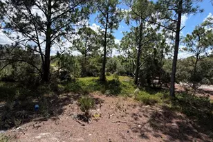 391 Marionette Ave, Lake Placid, FL 33852 - Photo 1