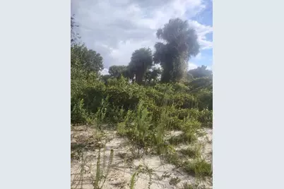 16791 NW 314th Street, Okeechobee, FL 34972 - Photo 11