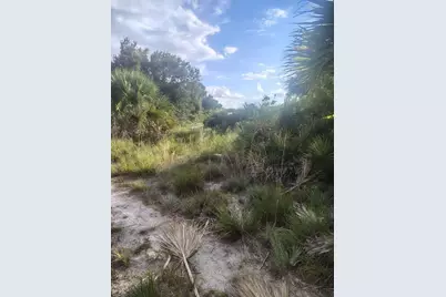 16791 NW 314th Street, Okeechobee, FL 34972 - Photo 7