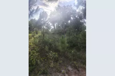 16791 NW 314th Street, Okeechobee, FL 34972 - Photo 5