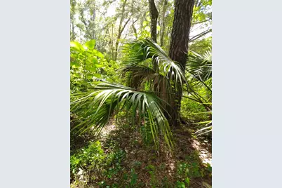 0000 NW 66th Street, Ocala, FL 34475 - Photo 3