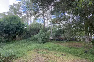 13398 46th Ct N, The Acreage, FL 33411 - Photo 43