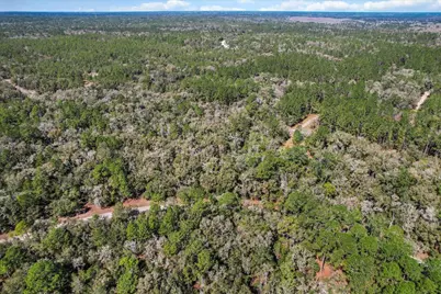 987 E Odin Drive, Dunnellon, FL 34434 - Photo 11