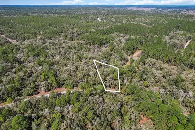 987 E Odin Drive, Dunnellon, FL 34434 - Photo 5