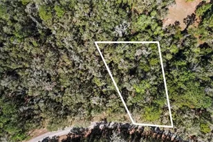 987 E Odin Dr, Dunnellon, FL 34434 - Photo 1