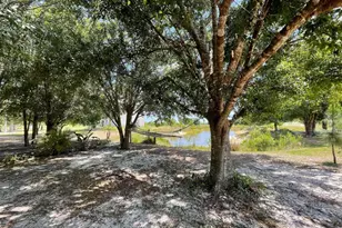 16738 NW 262nd St, Okeechobee, FL 34972 - Photo 37