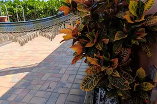 355 Main Blvd, Boynton Beach, FL 33435 - Photo 29