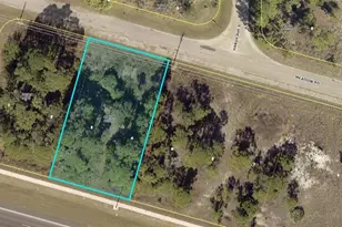 3424 Meadow Rd, Lehigh Acres, FL 33974 - Photo 1
