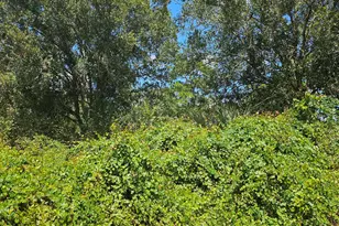 1785 SW Day St, Port Saint Lucie, FL 34953 - Photo 1