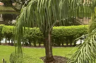 20080 Boca W Dr, Boca Raton, FL 33434 - Photo 3