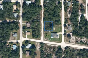 240 N Walker Rd, Avon Park, FL 33825 - Photo 1