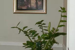 13774 Via Flora, Delray Beach, FL 33484 - Photo 13