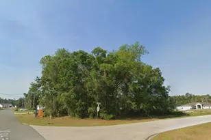 Tbd SW 43rd Ave, Ocala, FL 34473 - Photo 1