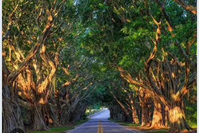 11000 SE Federal Highway #lot 20, Hobe Sound, FL 33455 - Photo 27