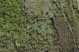 0 Grant Rd, Grant-Valkaria, FL 32909 - Photo 1