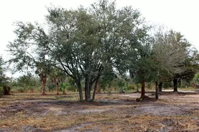 19576 NW 264th Street, Okeechobee, FL 34972 - Photo 3