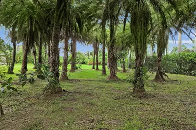 7555 NW 82nd Terrace, Parkland, FL 33067 - Photo 23
