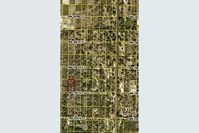 20375 NW 296th Street, Okeechobee, FL 34972 - Photo 3