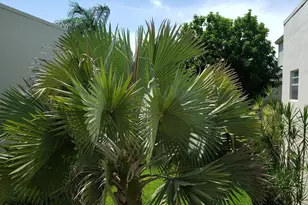 904 Flanders Dr S, Delray Beach, FL 33484 - Photo 19