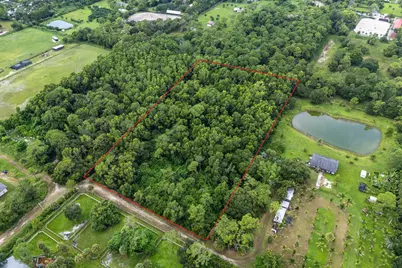 3501 C Road, Loxahatchee Groves, FL 33470 - Photo 3