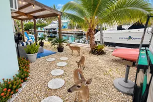 1455 Sunset Rd, Big Pine Key, FL 33043 - Photo 3