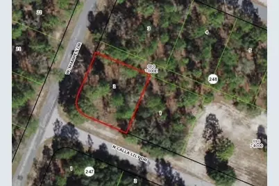 9735 N Calla Lily Way, Dunnellon, FL 34433 - Photo 1
